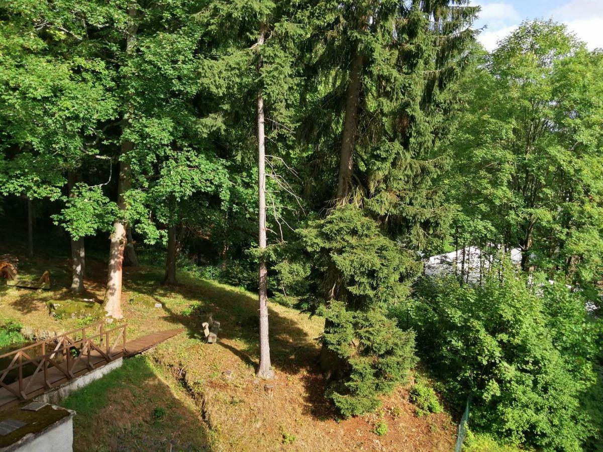 Parkhotel Forest Mariënbad Buitenkant foto